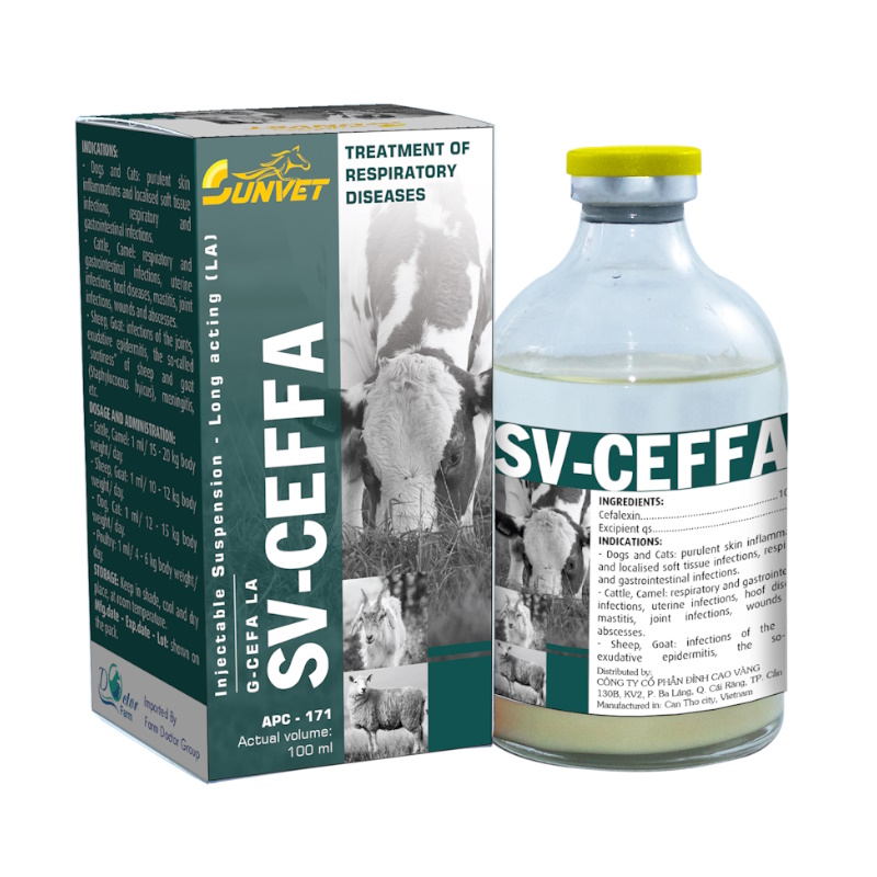 SV-CEFFA1